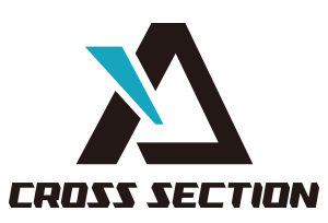 CROSS SECTION